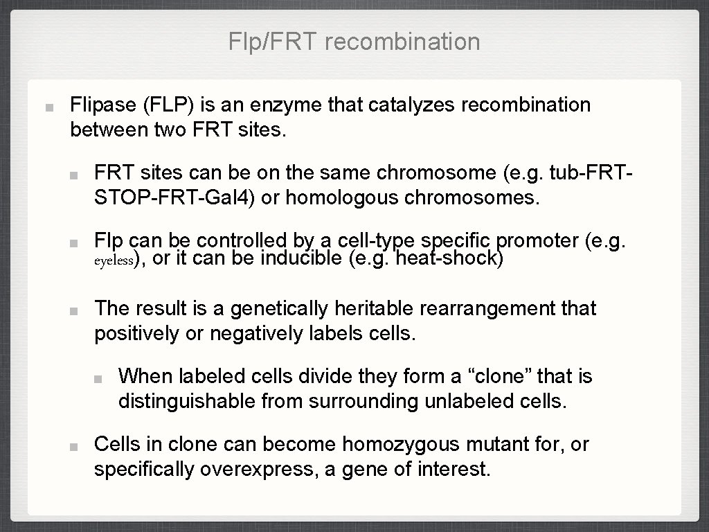 Flp/FRT recombination Flipase (FLP) is an enzyme that catalyzes recombination between two FRT sites Flp/FRT recombination Flipase (FLP) is an enzyme that catalyzes recombination between two FRT sites