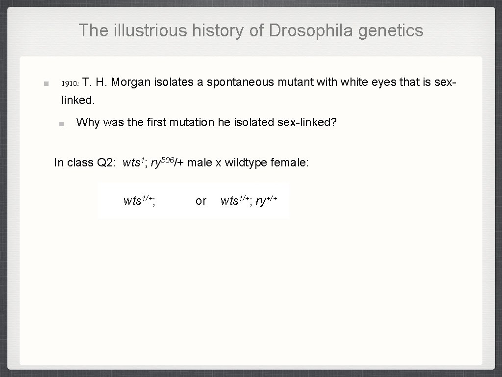 The illustrious history of Drosophila genetics 1910: T. H. Morgan isolates a spontaneous mutant The illustrious history of Drosophila genetics 1910: T. H. Morgan isolates a spontaneous mutant