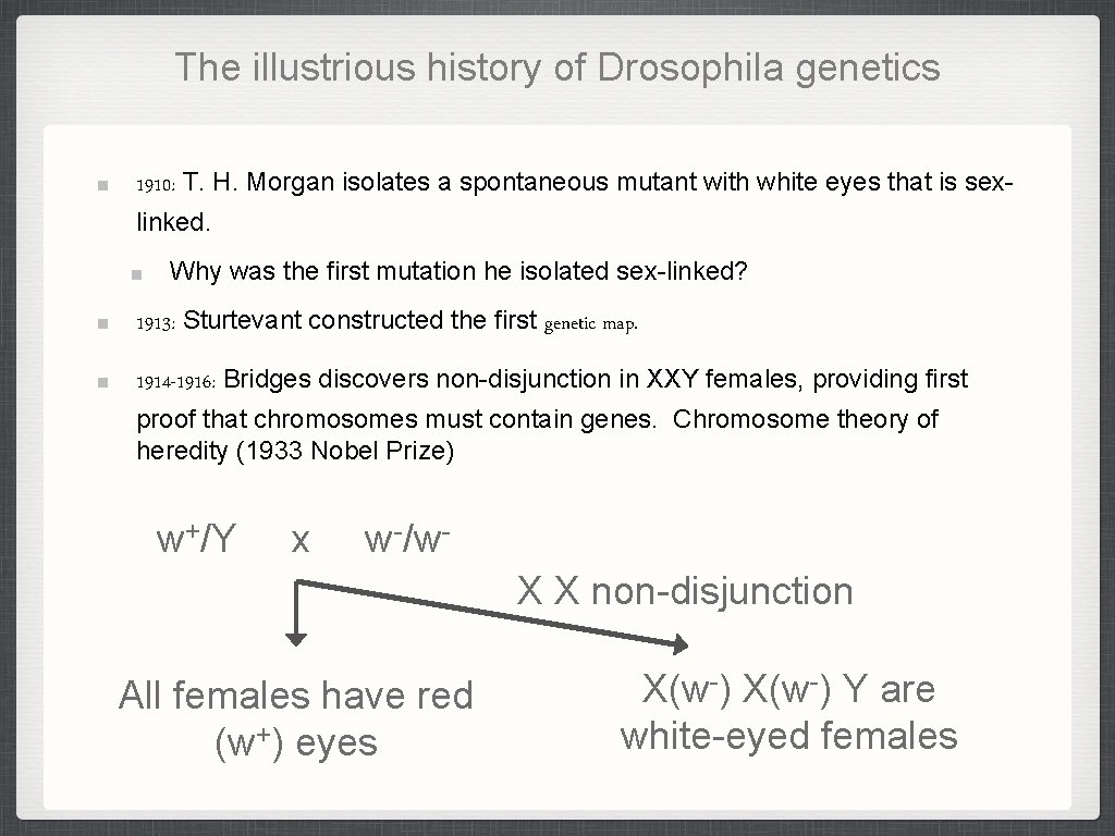 The illustrious history of Drosophila genetics 1910: T. H. Morgan isolates a spontaneous mutant The illustrious history of Drosophila genetics 1910: T. H. Morgan isolates a spontaneous mutant