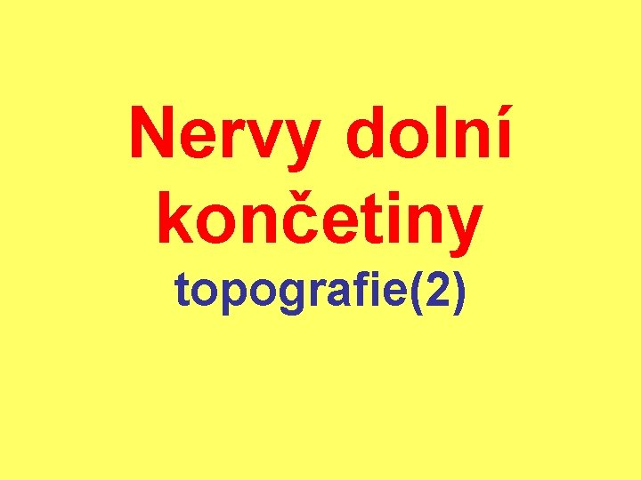 Nervy dolní končetiny topografie(2) 