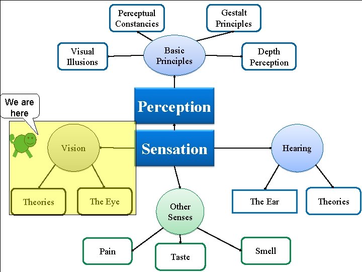 Gestalt Principles Perceptual Constancies Basic Principles Visual Illusions Perception We are here Sensation Vision
