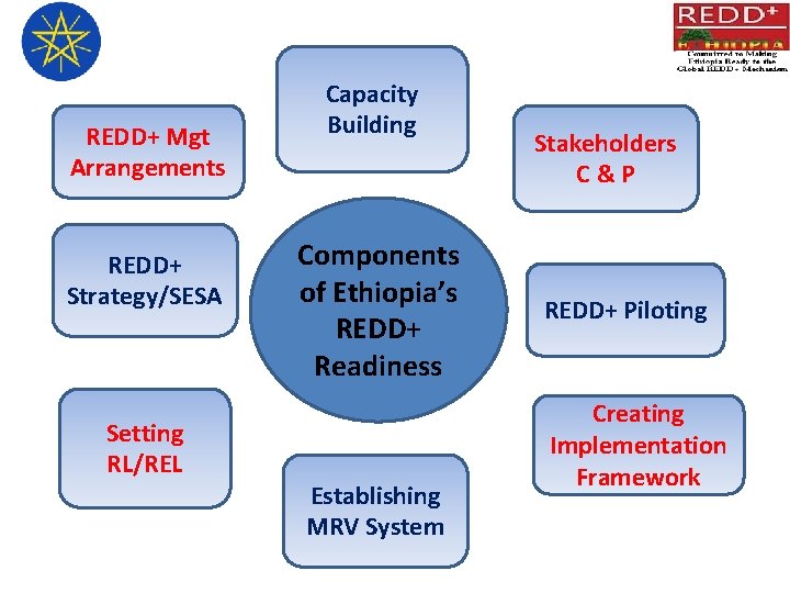 REDD+ Mgt Arrangements REDD+ Strategy/SESA Setting RL/REL Capacity Building Components of Ethiopia’s REDD+ Readiness