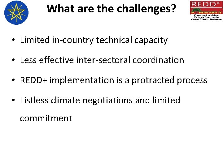 What are the challenges? • Limited in-country technical capacity • Less effective inter-sectoral coordination