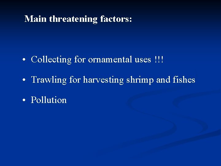 Main threatening factors: • Collecting for ornamental uses !!! • Trawling for harvesting shrimp