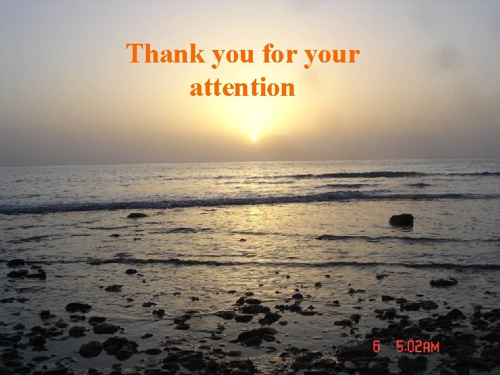 Thank you for your attention 