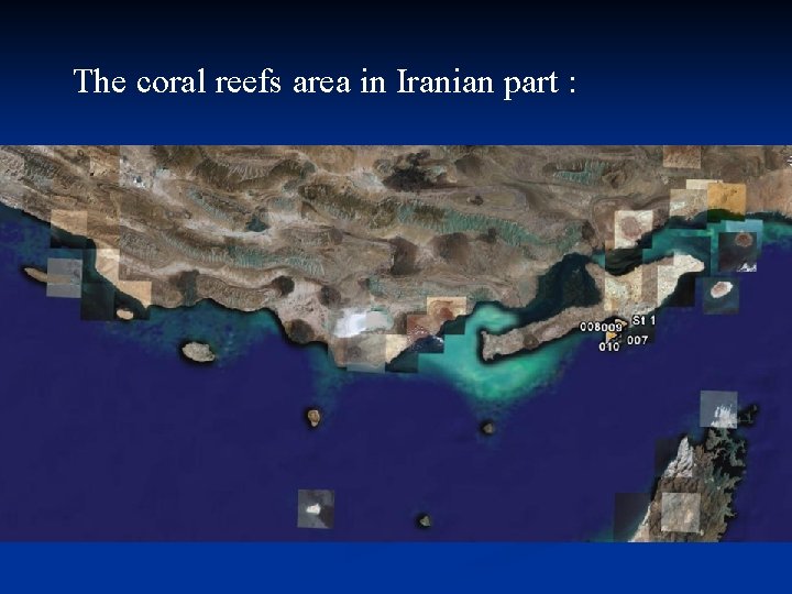 The coral reefs area in Iranian part : 