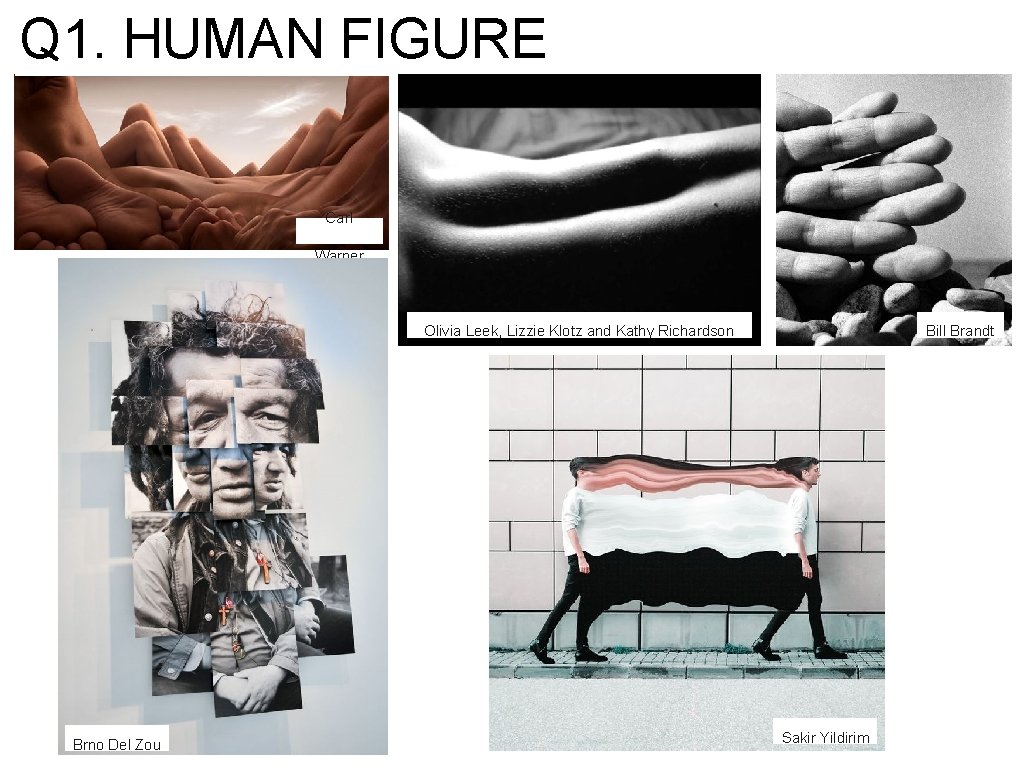 Q 1. HUMAN FIGURE Carl Warner Olivia Leek, Lizzie Klotz and Kathy Richardson Brno Q 1. HUMAN FIGURE Carl Warner Olivia Leek, Lizzie Klotz and Kathy Richardson Brno