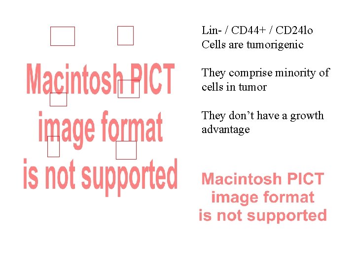 Lin- / CD 44+ / CD 24 lo Cells are tumorigenic They comprise minority