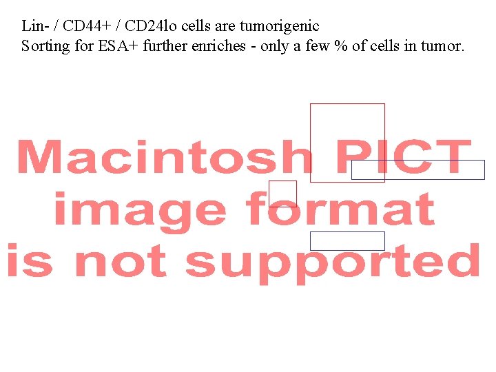 Lin- / CD 44+ / CD 24 lo cells are tumorigenic Sorting for ESA+
