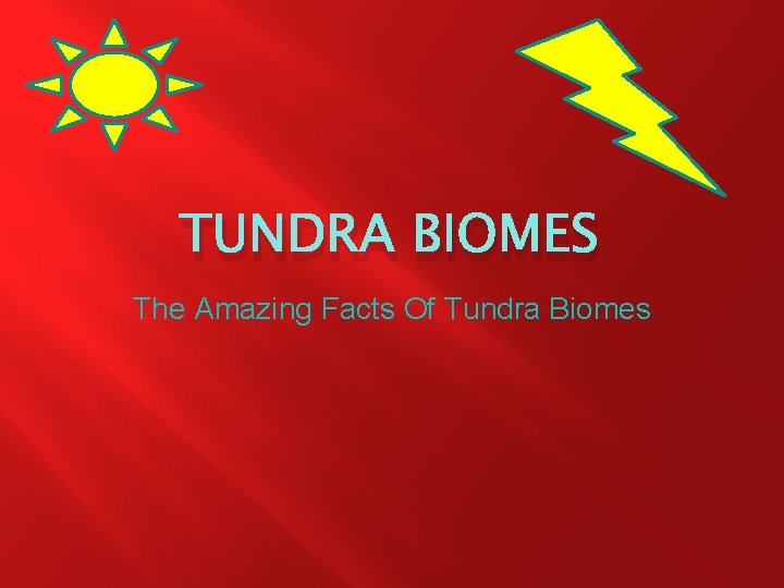 TUNDRA BIOMES The Amazing Facts Of Tundra Biomes 