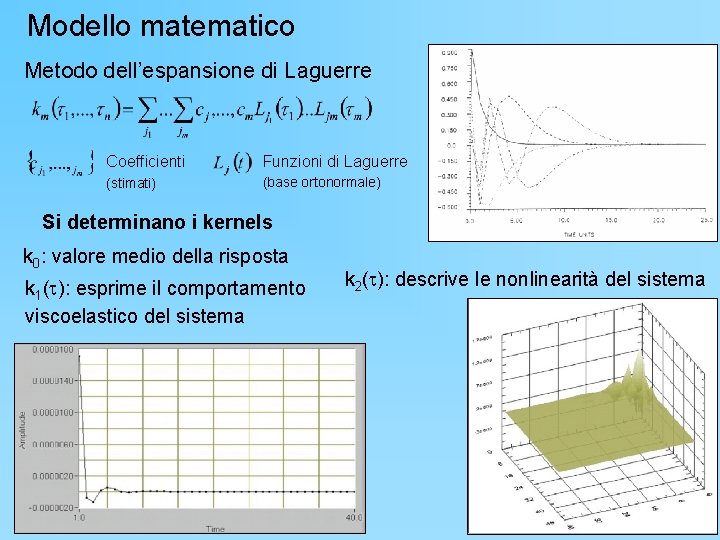 Modello matematico Metodo dell’espansione di Laguerre Coefficienti Funzioni di Laguerre (stimati) (base ortonormale) Si