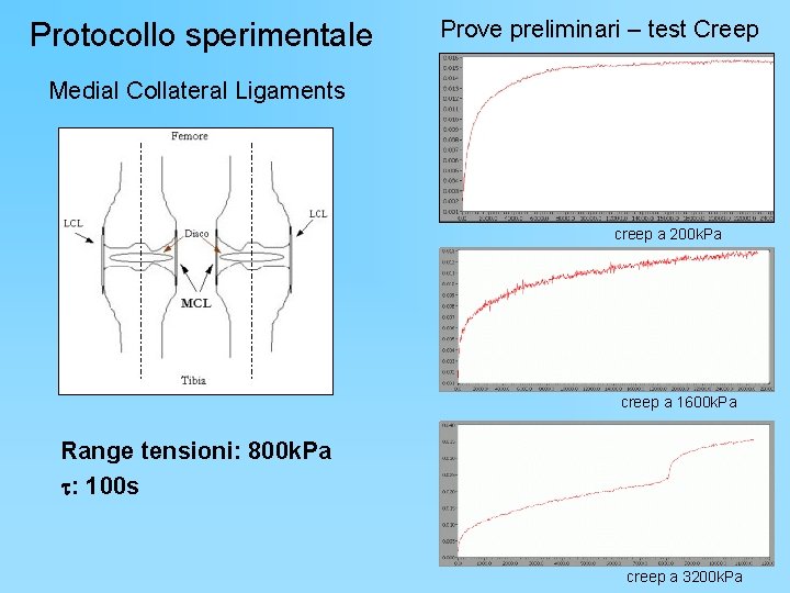 Protocollo sperimentale Prove preliminari – test Creep Medial Collateral Ligaments creep a 200 k.