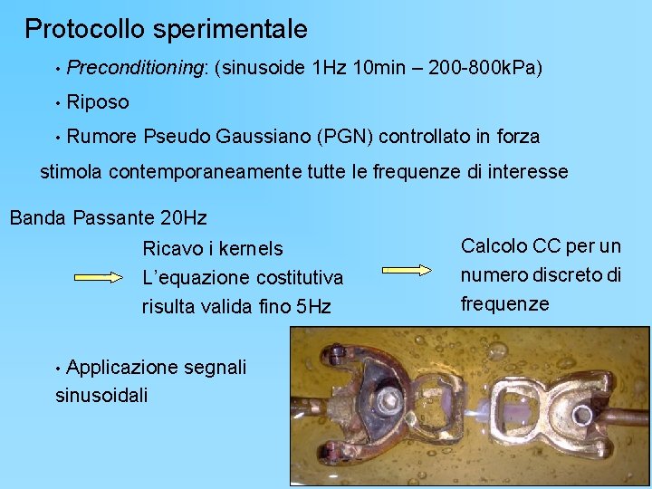 Protocollo sperimentale • Preconditioning: (sinusoide 1 Hz 10 min – 200 -800 k. Pa)