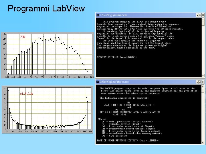 Programmi Lab. View 