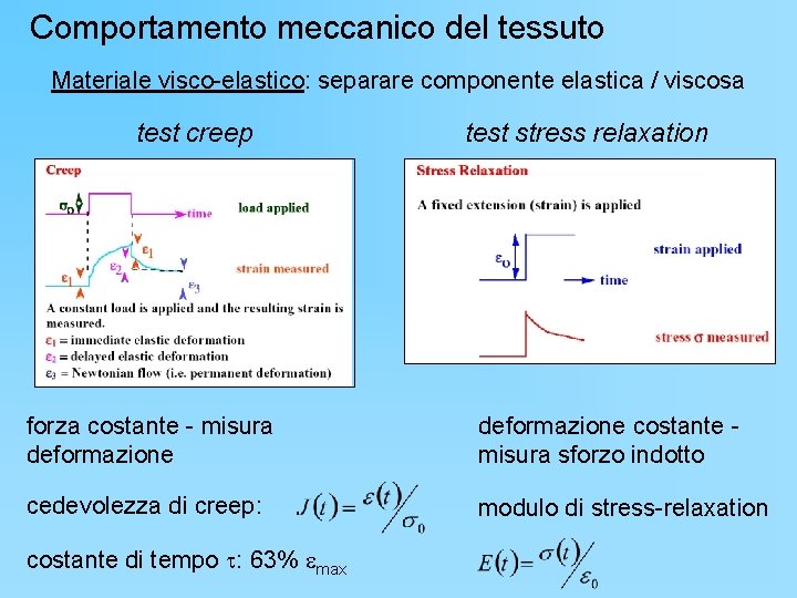 Comportamento meccanico del tessuto Materiale visco-elastico: separare componente elastica / viscosa test creep test