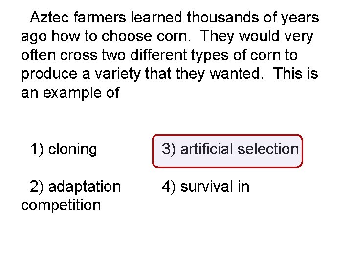 Aztec farmers learned thousands of years ago how to choose corn. They would very