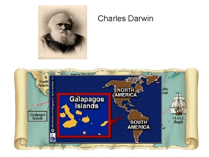 Charles Darwin 