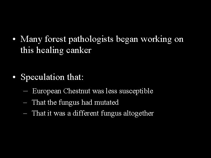  • Many forest pathologists began working on this healing canker • Speculation that:
