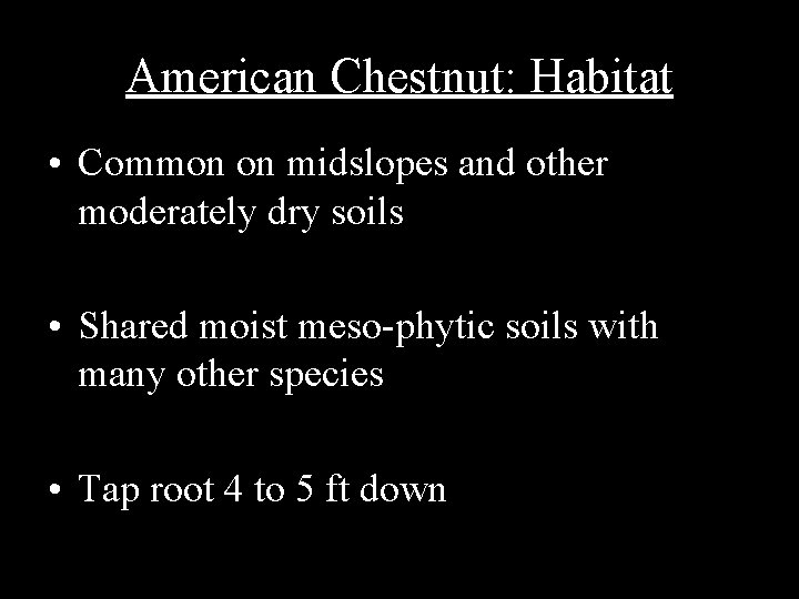 American Chestnut: Habitat • Common on midslopes and other moderately dry soils • Shared