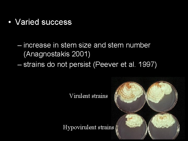 • Varied success – increase in stem size and stem number (Anagnostakis 2001)
