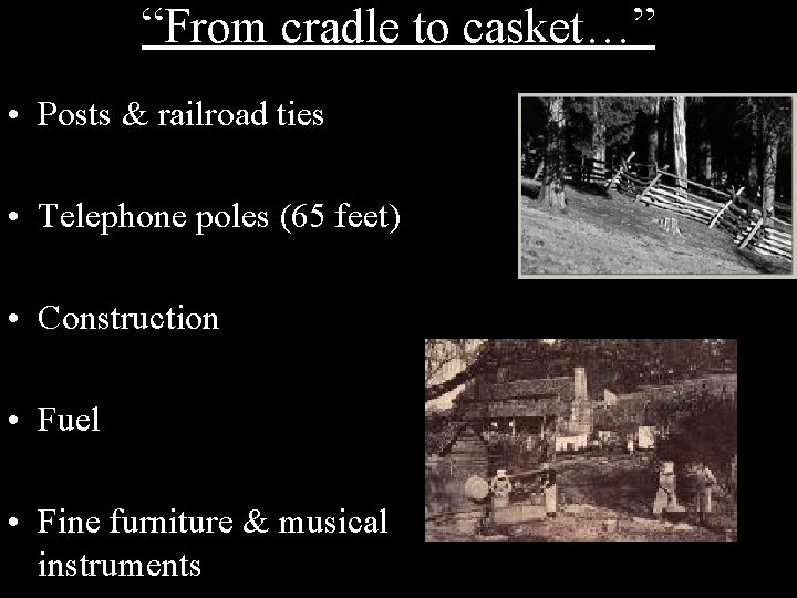 “From cradle to casket…” • Posts & railroad ties • Telephone poles (65 feet)