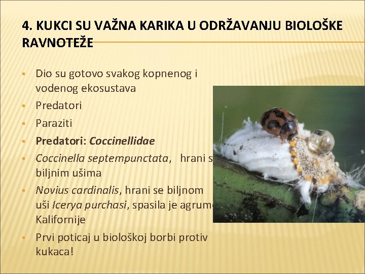 4. KUKCI SU VAŽNA KARIKA U ODRŽAVANJU BIOLOŠKE RAVNOTEŽE § § § § Dio