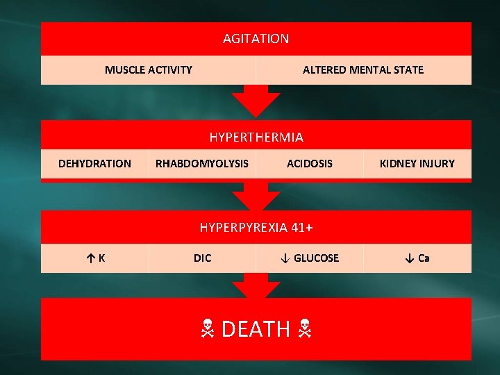 AGITATION MUSCLE ACTIVITY ALTERED MENTAL STATE HYPERTHERMIA DEHYDRATION RHABDOMYOLYSIS ACIDOSIS KIDNEY INJURY HYPERPYREXIA 41+