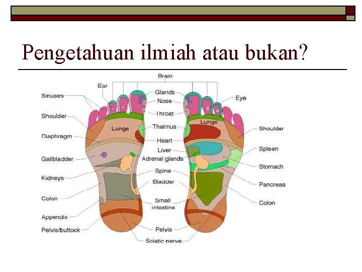 Pengetahuan ilmiah atau bukan? Pengetahuan ilmiah atau bukan?