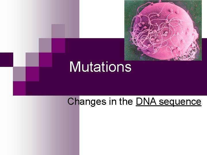 Mutations Changes in the DNA sequence 