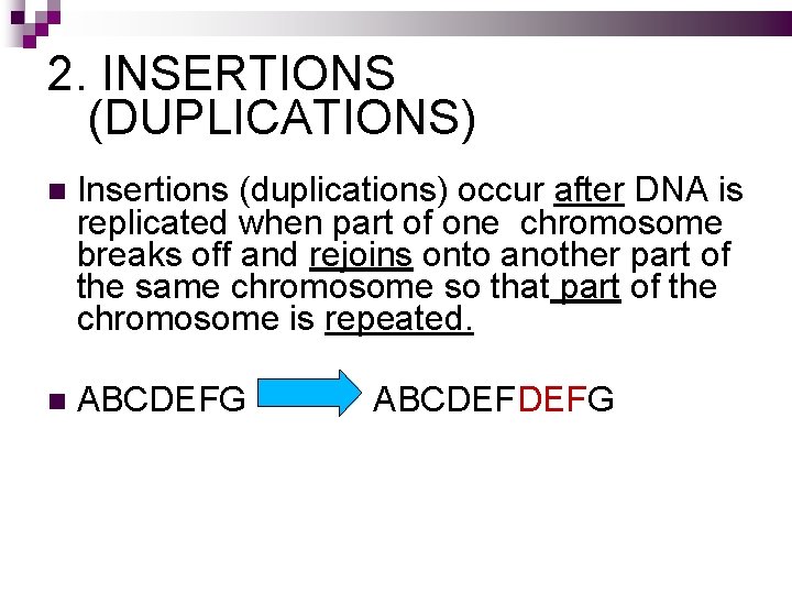 2. INSERTIONS (DUPLICATIONS) Insertions (duplications) occur after DNA is replicated when part of one