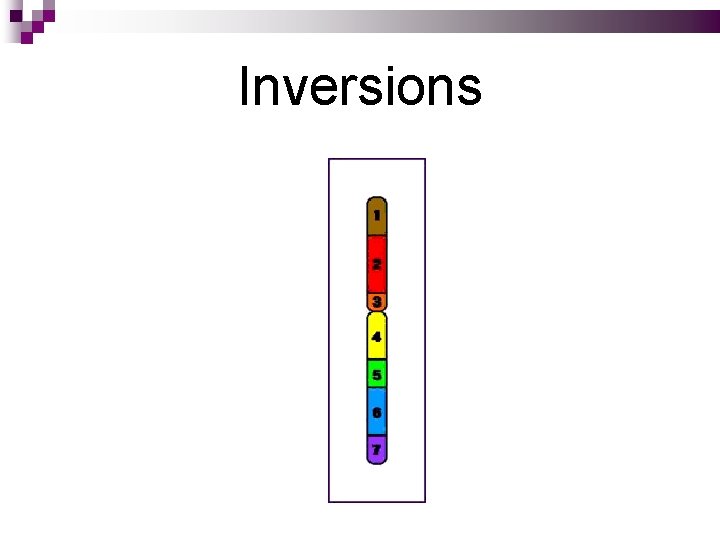 Inversions 