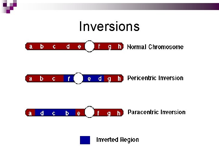 Inversions 