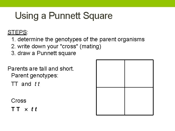 Using a Punnett Square STEPS: 1. determine the genotypes of the parent organisms 2.