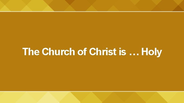 The Church of Christ is … Holy 