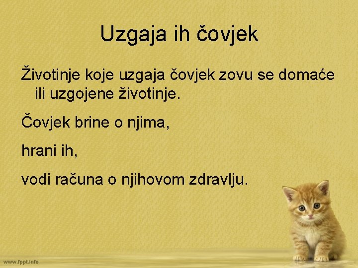 Uzgaja ih čovjek Životinje koje uzgaja čovjek zovu se domaće ili uzgojene životinje. Čovjek