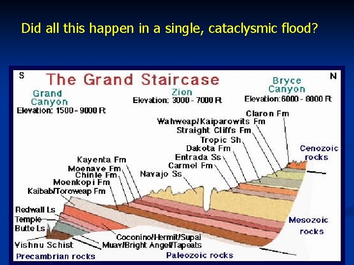 Did all this happen in a single, cataclysmic flood? 