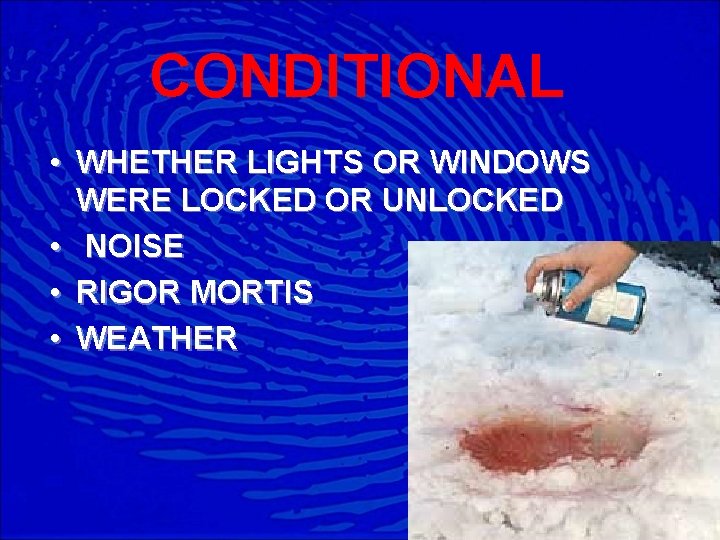 CONDITIONAL • WHETHER LIGHTS OR WINDOWS WERE LOCKED OR UNLOCKED • NOISE • RIGOR