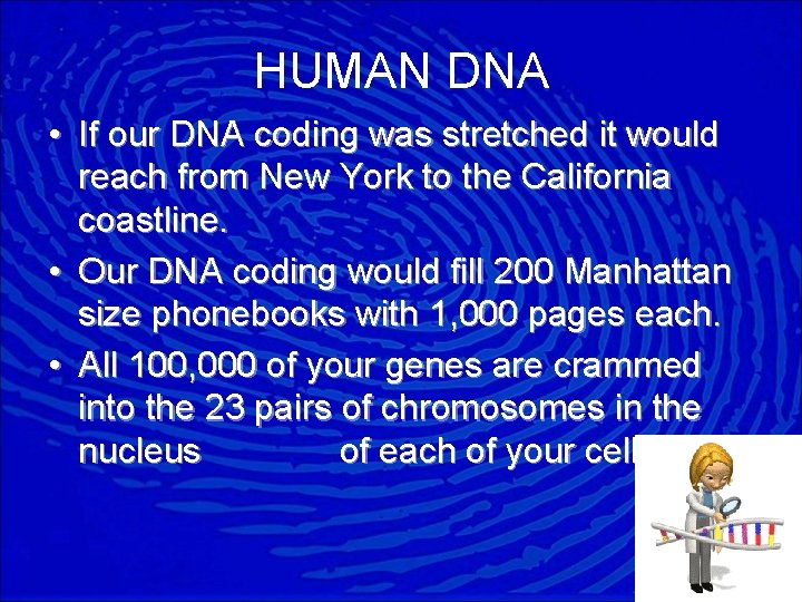 HUMAN DNA • If our DNA coding was stretched it would reach from New