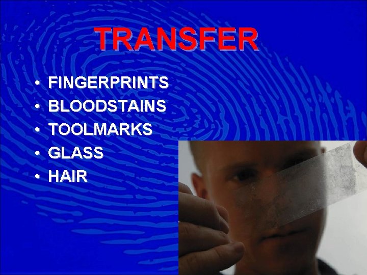 TRANSFER • • • FINGERPRINTS BLOODSTAINS TOOLMARKS GLASS HAIR 