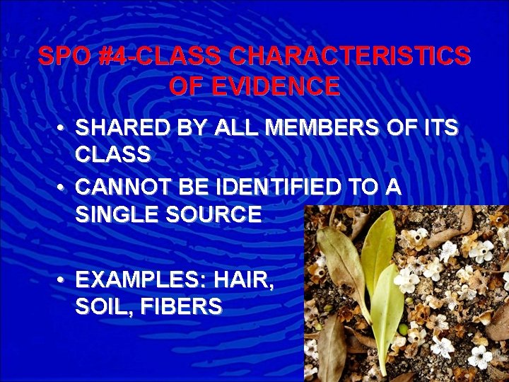 SPO #4 -CLASS CHARACTERISTICS OF EVIDENCE • SHARED BY ALL MEMBERS OF ITS CLASS