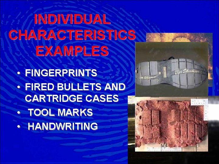 INDIVIDUAL CHARACTERISTICS EXAMPLES • FINGERPRINTS • FIRED BULLETS AND CARTRIDGE CASES • TOOL MARKS