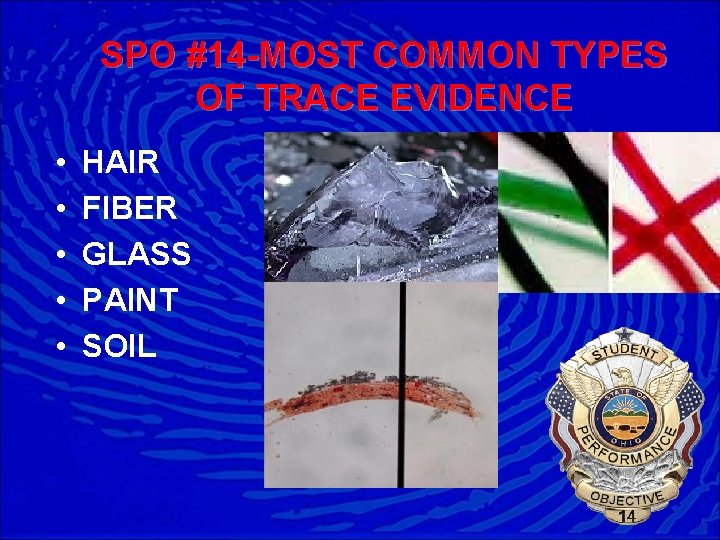 SPO #14 -MOST COMMON TYPES OF TRACE EVIDENCE • • • HAIR FIBER GLASS