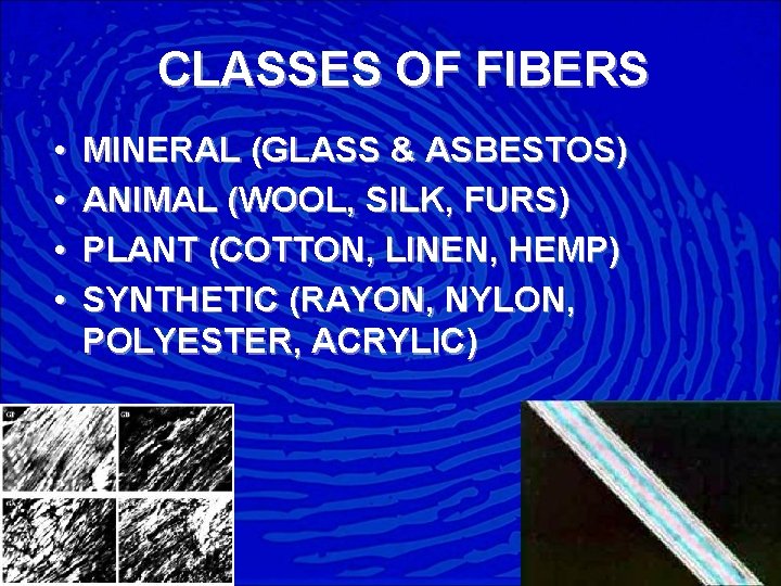 CLASSES OF FIBERS • • MINERAL (GLASS & ASBESTOS) ANIMAL (WOOL, SILK, FURS) PLANT