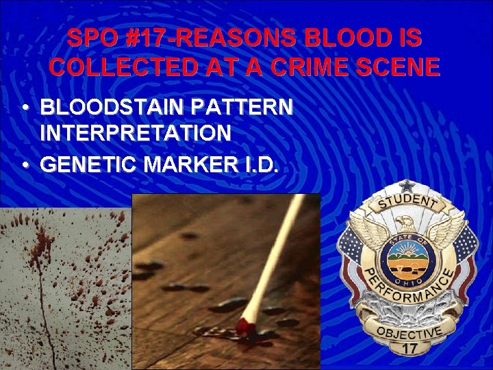 SPO #17 -REASONS BLOOD IS COLLECTED AT A CRIME SCENE • BLOODSTAIN PATTERN INTERPRETATION