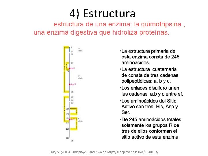4) Estructura Bula, V. (2005). Slideplayer. Obtenido de http: //slideplayer. es/slide/1048183/ 