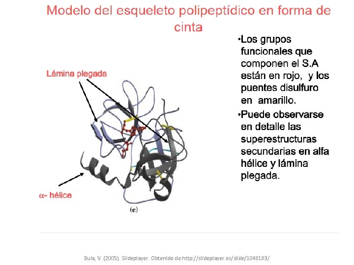 Bula, V. (2005). Slideplayer. Obtenido de http: //slideplayer. es/slide/1048183/ 