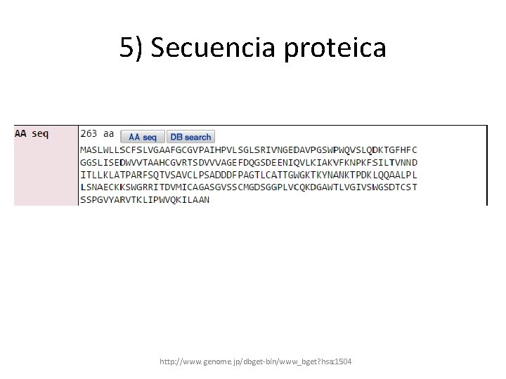 5) Secuencia proteica http: //www. genome. jp/dbget-bin/www_bget? hsa: 1504 