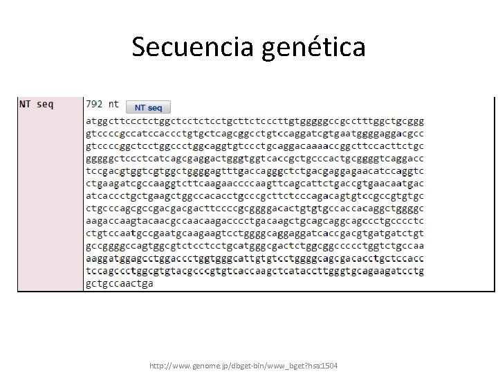 Secuencia genética http: //www. genome. jp/dbget-bin/www_bget? hsa: 1504 