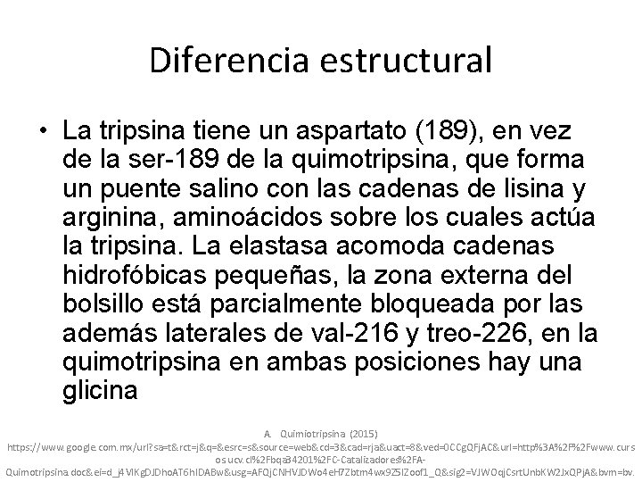 Diferencia estructural • La tripsina tiene un aspartato (189), en vez de la ser-189