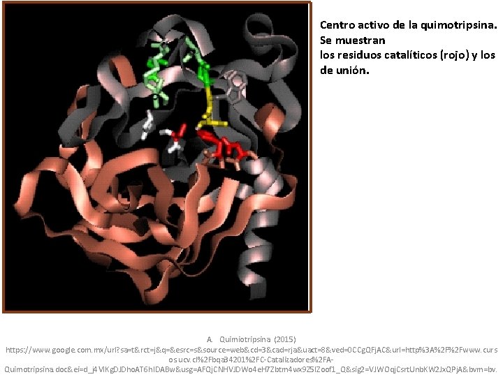 Centro activo de la quimotripsina. Se muestran los residuos catalíticos (rojo) y los de